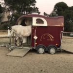 Atelier HAPPY HORSE : LE VAN (DEMO)