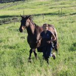 Ride & Run : épreuve spéciale Run avec ton poney
