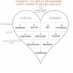 Posters plastifiés des Coeurs du programme Happy Horse